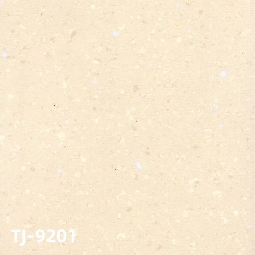 TJ9201