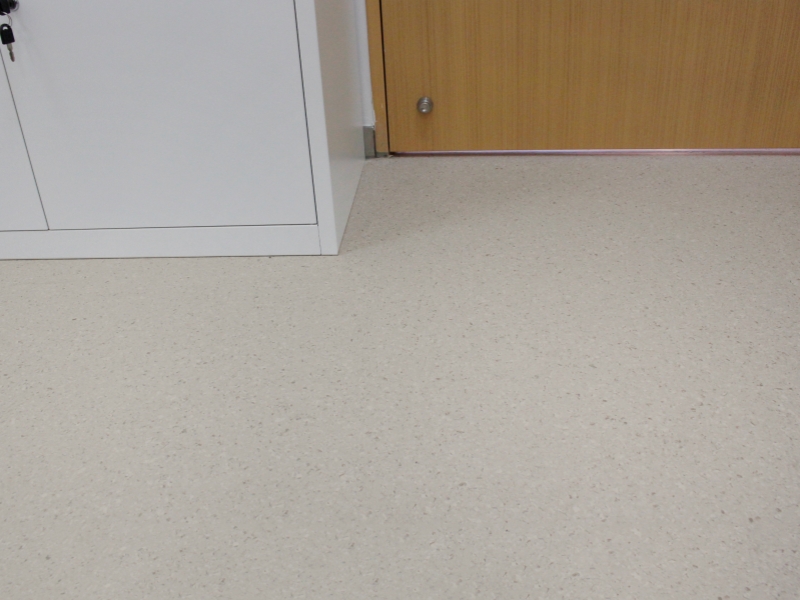 大巨龍同質透心地板