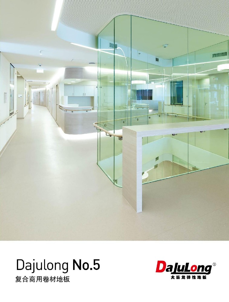 大巨龍NO.5文件下載