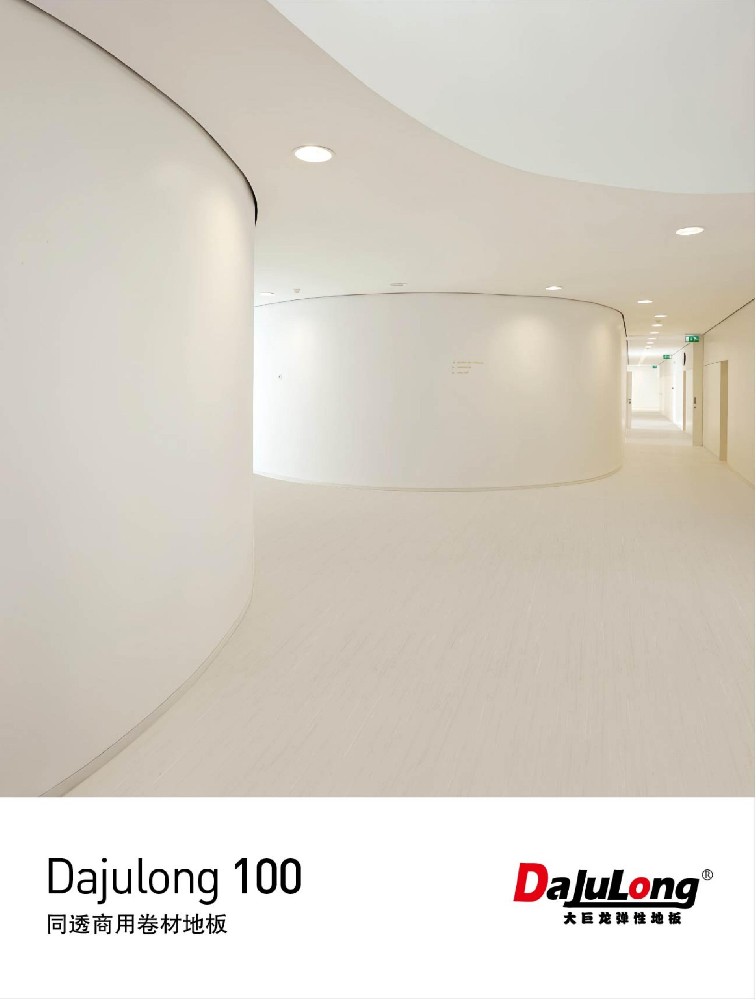 大巨龍100系列文件下載