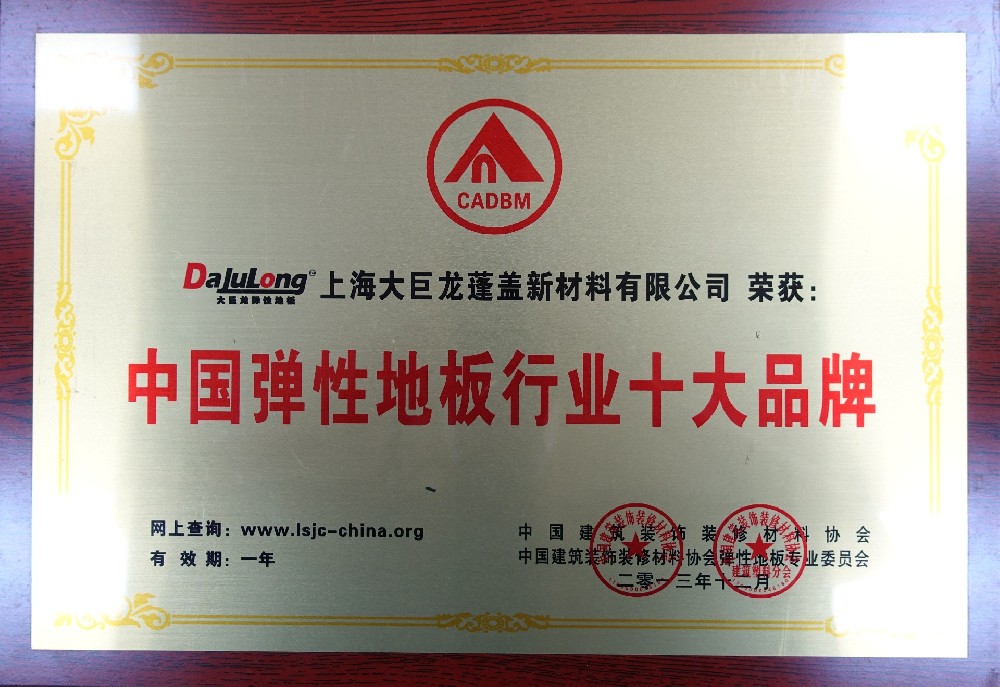 2013年大巨龍獲得中國(guó)彈性地板行業(yè)十大品牌