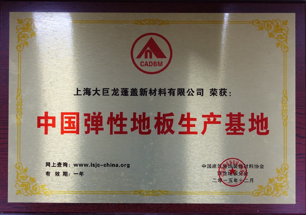 大巨龍:以 “生產(chǎn)基地” 認(rèn)證,錨定彈性地板行業(yè)硬實(shí)力