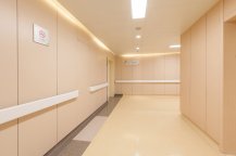 Dajulong Pvc Flooring Stars in China