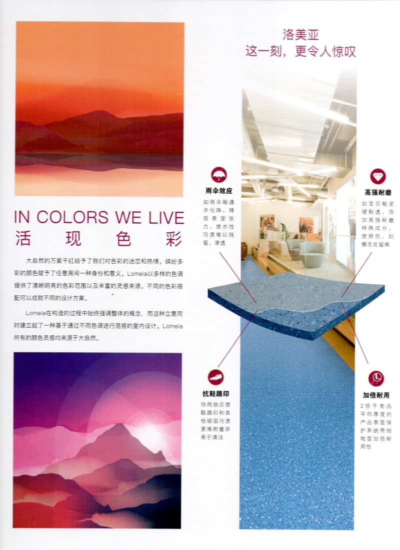 大巨龍洛美亞介紹