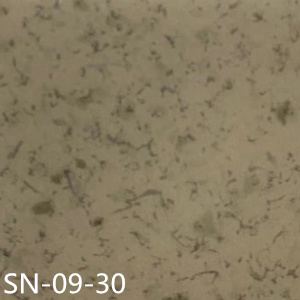 大巨龍靈動系列-大巨龍密實底商用卷材pvc塑膠地