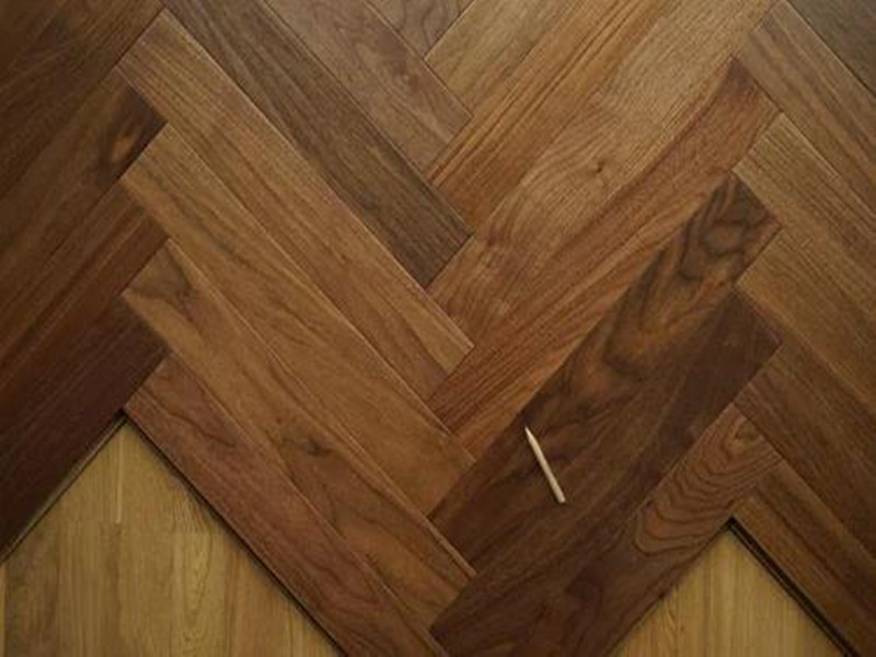 教育機構認可大巨龍地板的原因